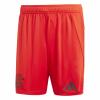 FC Bayern Short Home 24/25 Herren