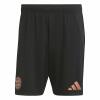 FC Bayern Shorts Away 24/25 Herren