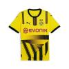 BVB Cup Trikot 24/25 Herren