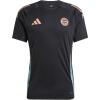 FC Bayern Trainingsshirt 24/25 Herren schwarz